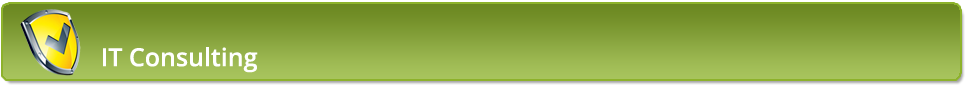 IT consulting